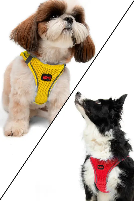 Hondentuigje Air-Mesh Vest — Limoen - HALSBANDEN/LIJNEN NYLON