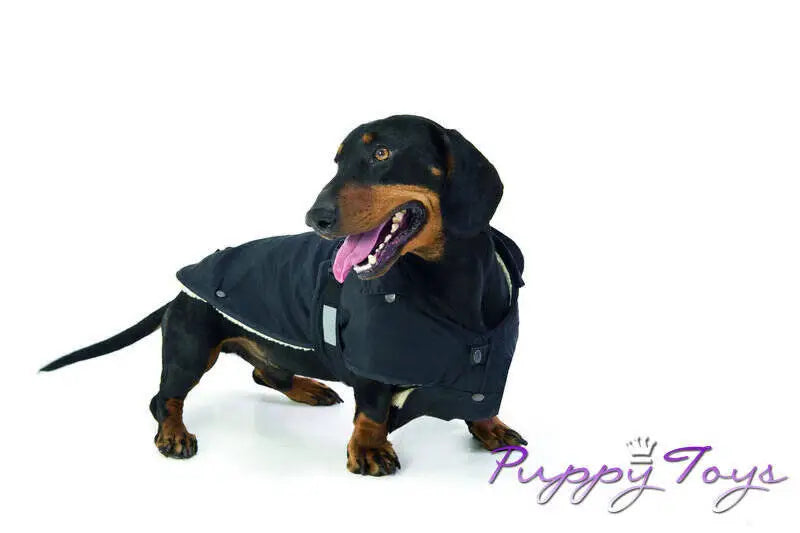 Karlie Hondenjas No Limit jas zwart — Ruglengte 36 cm