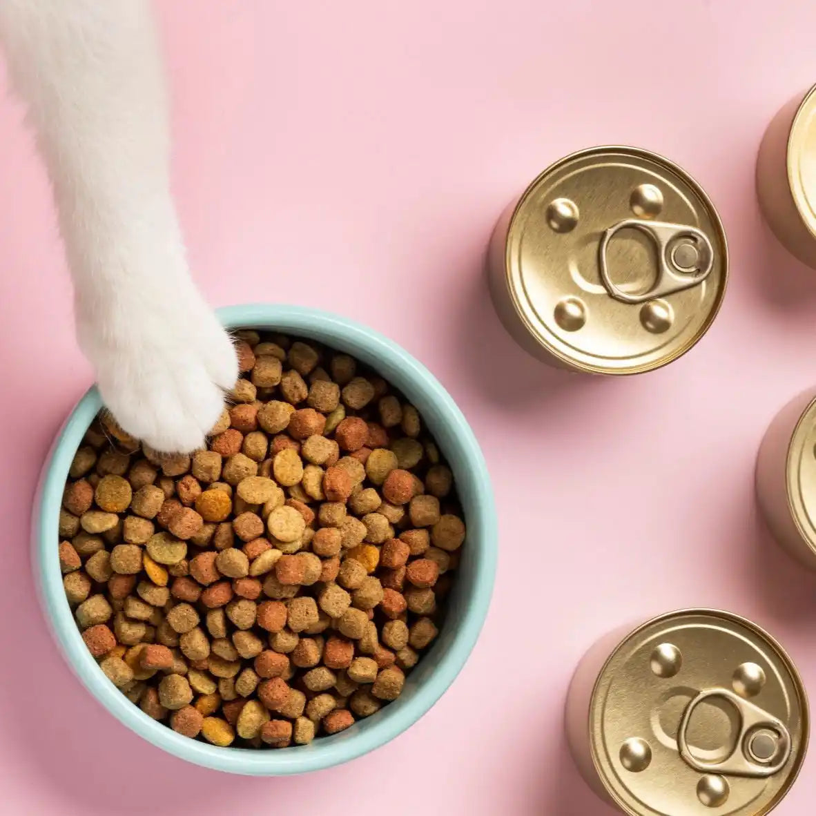 Kattenvoederbak en blikken.