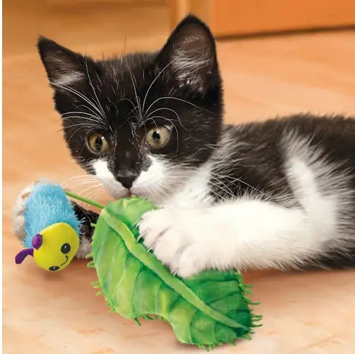 KONG Flingaroo Catnip Rups met Blad - SPEELGOED