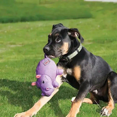 Kong Phatz Hippo Nijlpaard Paars
