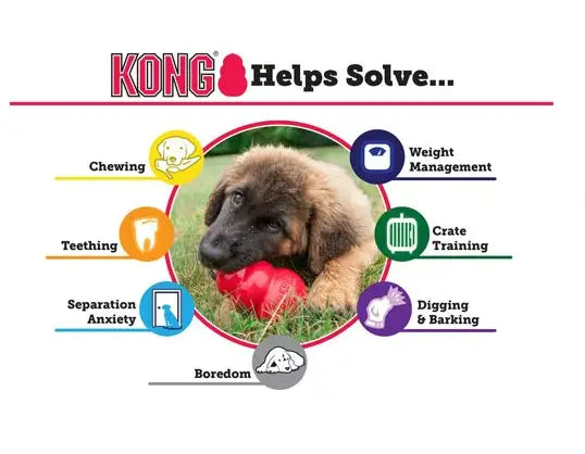 KONG Puppy XS — Blauw - SPEELGOED