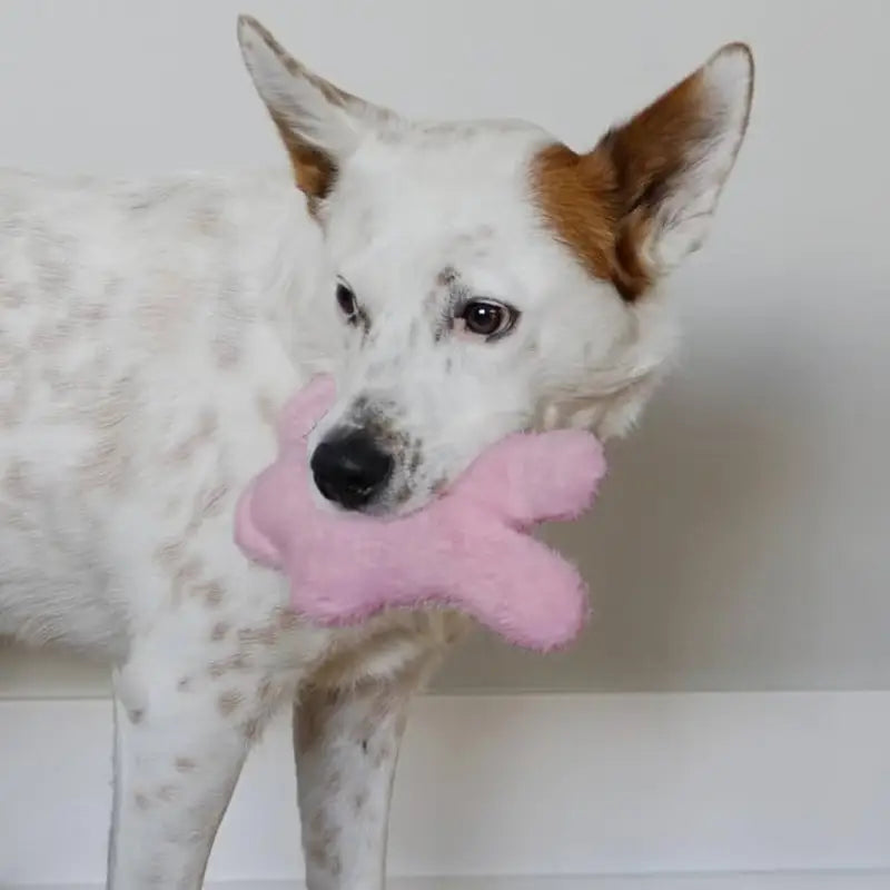 KONG Snuzzles Kiddos Konijn - SPEELGOED