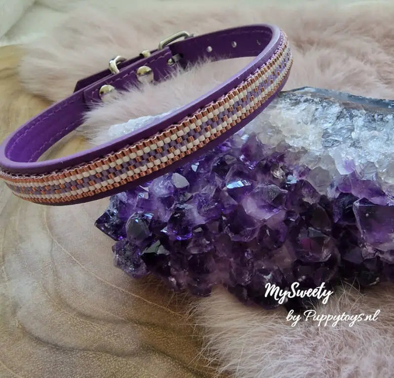MySweety Chihuahua halsbandje Goldenrod Purple 26-32 cm — Paars