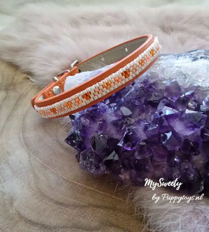 MySweety Chihuahua halsbandje Twinkle in Orange — Oranje