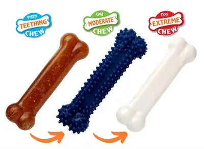 Nylabone Puppy Chew Puppy Starter Kit Chicken