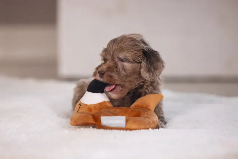 Pluche Puppy Rammelaar Flamy - SPEELGOED