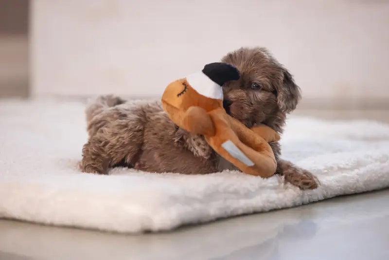 Pluche Puppy Rammelaar Flamy - SPEELGOED
