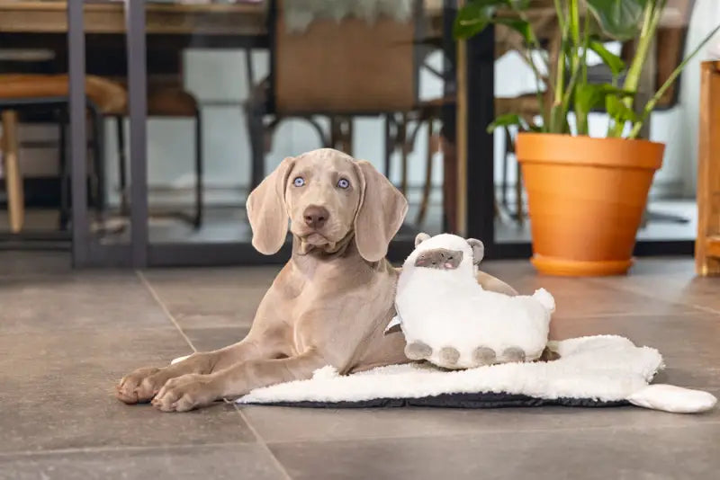 Pluche Puppy Speelgoed Lama - SPEELGOED