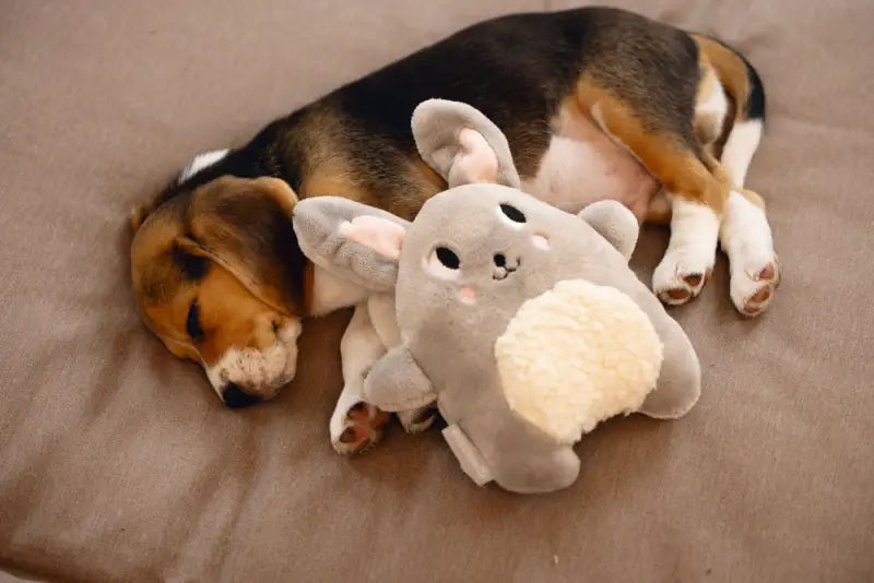Pluche Puppy Speelgoed Snoet - SPEELGOED