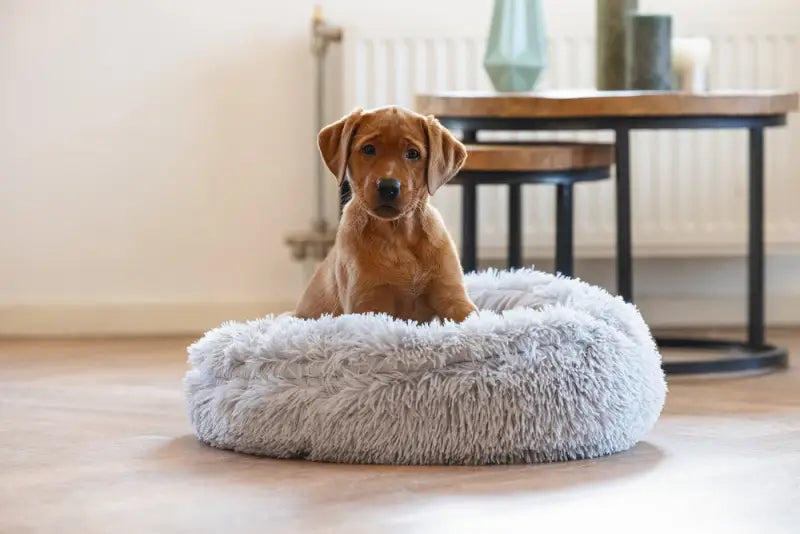 Puppy Hondenmand Kiki — Grijs - BEDDEN/MANDEN/KUSSENS