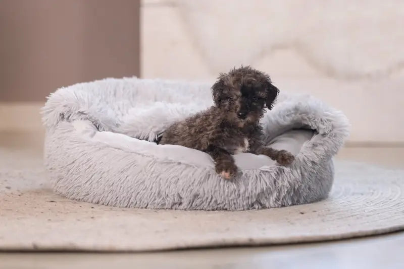 Puppy Hondenmand Kiki — Grijs - BEDDEN/MANDEN/KUSSENS