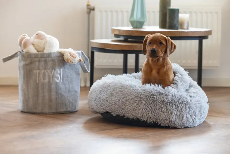 Puppy Hondenmand Kiki — Grijs - BEDDEN/MANDEN/KUSSENS