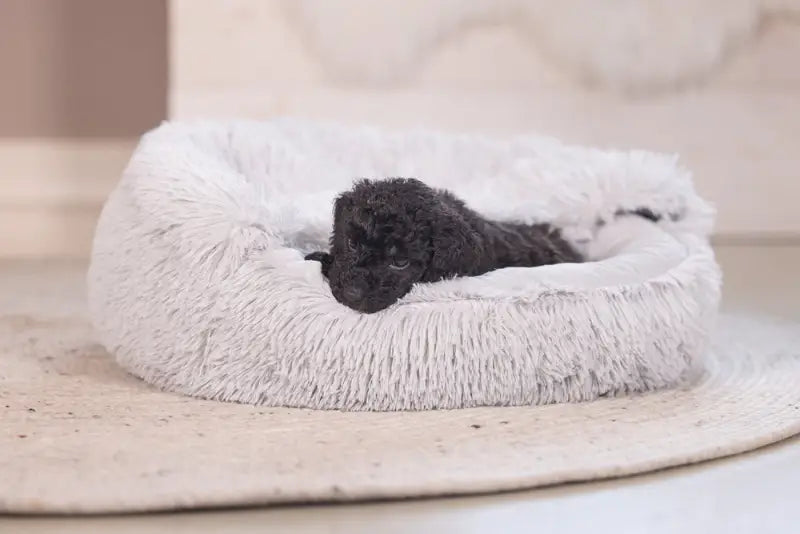 Puppy Hondenmand Kiki — Grijs - BEDDEN/MANDEN/KUSSENS