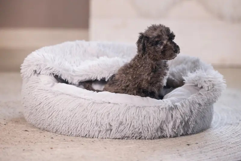 Puppy Hondenmand Kiki — Grijs - BEDDEN/MANDEN/KUSSENS