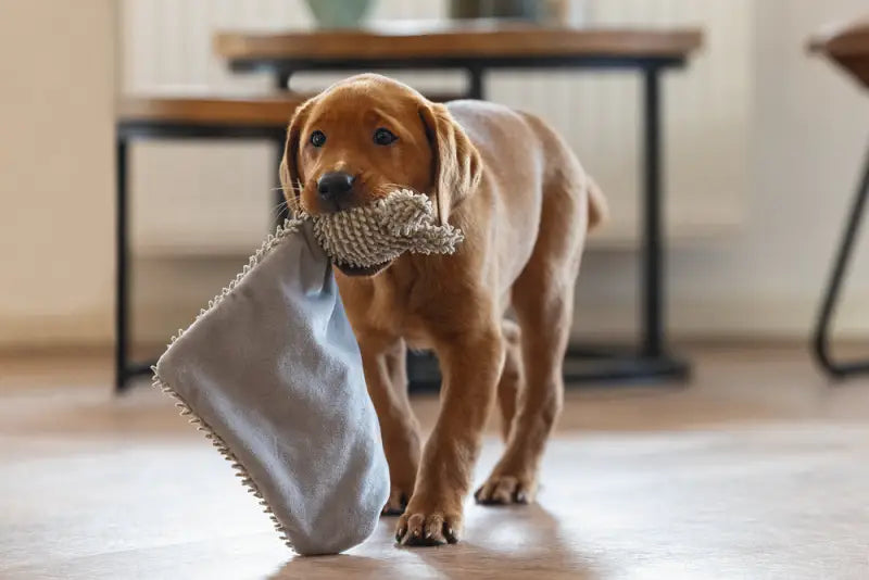Puppy Knuffellap Konijn An - SPEELGOED