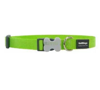 Red Dingo Hundehalsband Limette 41-64 cm