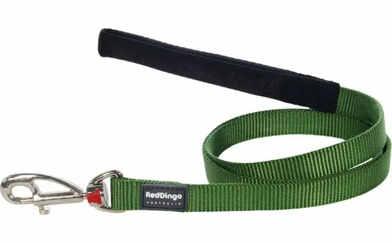 Red Dingo Hondenriem Green 120 cm x 15 mm — 120 cm x 15 mm