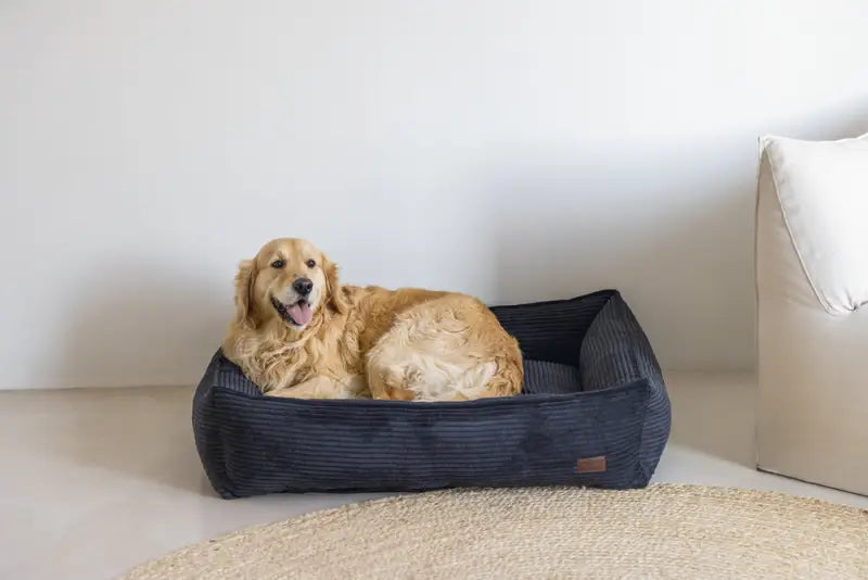 Ribbed Hondenmand antraciet — Antraciet - BEDDEN/MANDEN/KUSSENS