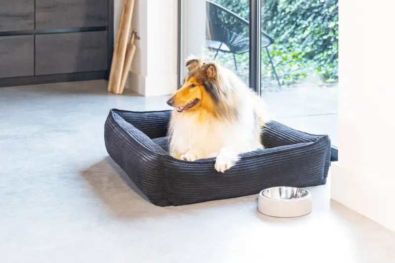 Ribbed Hondenmand antraciet — Antraciet - BEDDEN/MANDEN/KUSSENS