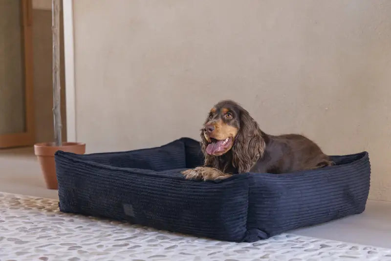 Ribbed Hondenmand antraciet — Antraciet - BEDDEN/MANDEN/KUSSENS