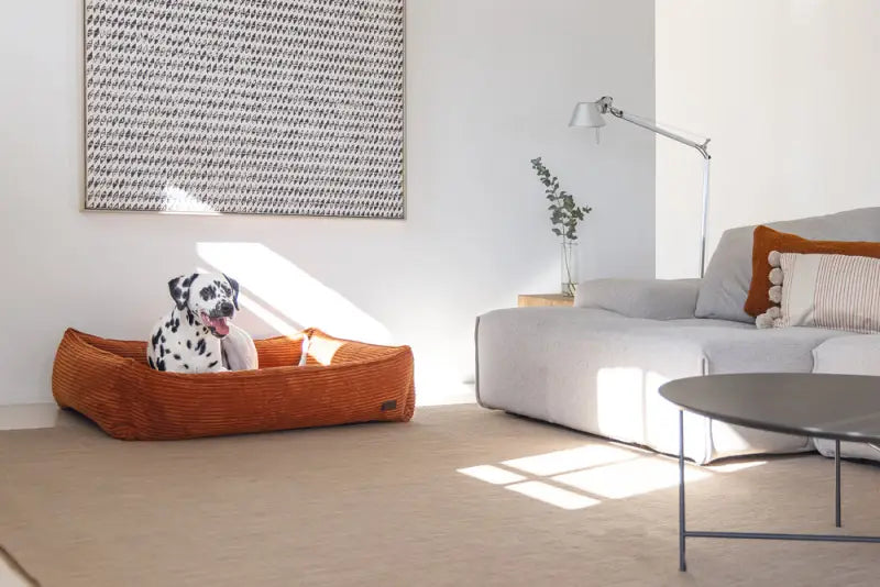 Ribbed Hondenmand antraciet — Terra - BEDDEN/MANDEN/KUSSENS