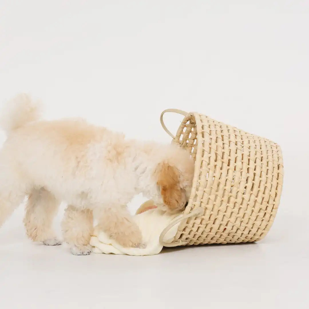 Wicker mand met handvat.