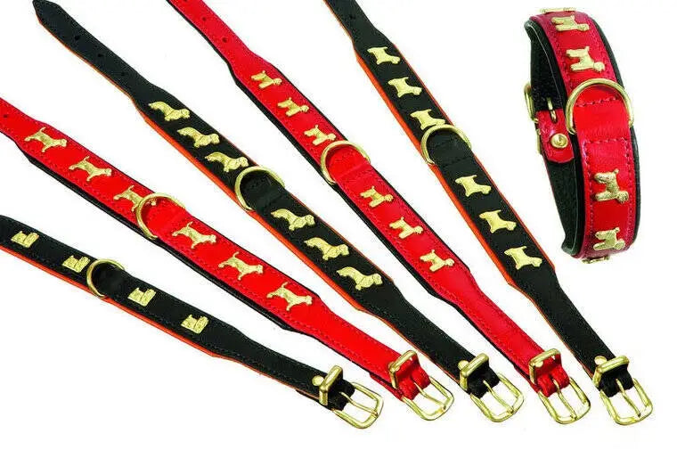 Rondo West Highland White Terrier Halsband zwart 27-31 cm