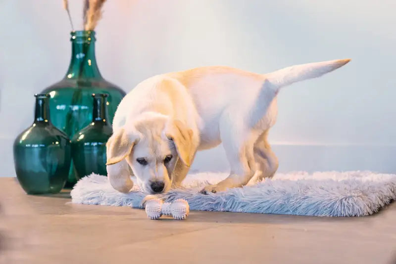 Rubber Puppy Dental Halter — Roze - SPEELGOED