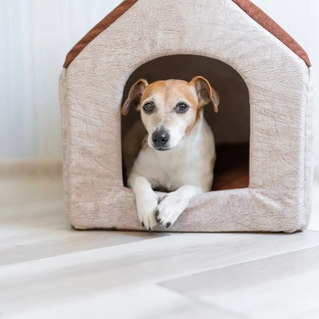 Bruine en zwarte hondenhok met hond.