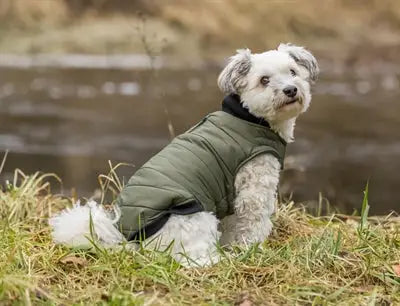 Trixie Hondenjas Arlay Donkergroen