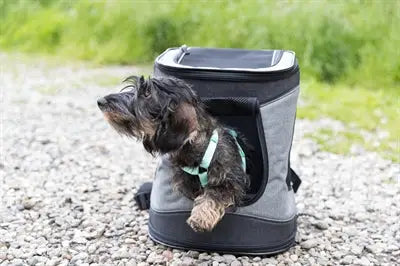 Trixie Hondentas Timon Zwart / Grijs