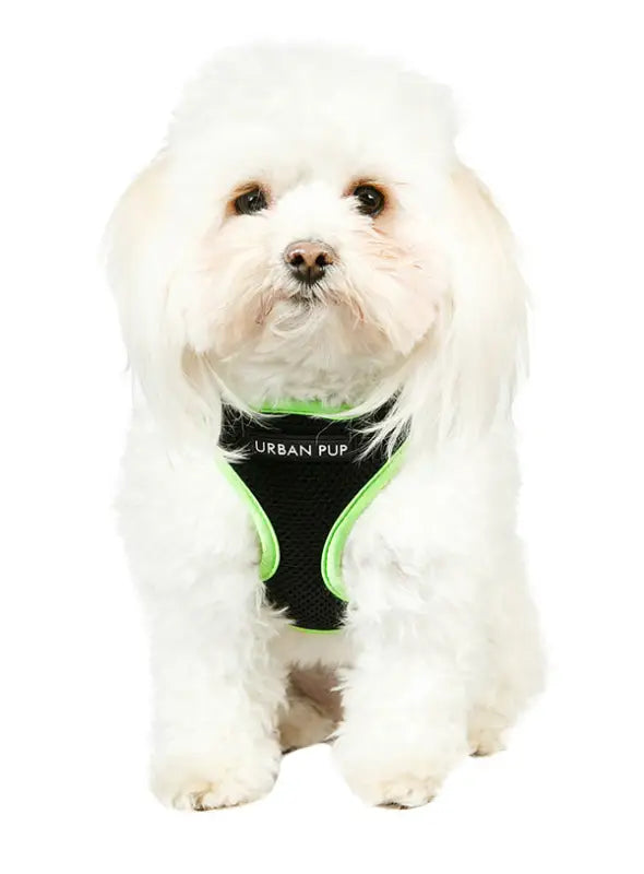 UrbanPup Active Mesh Neon Harness — Groen - Hondentuigje