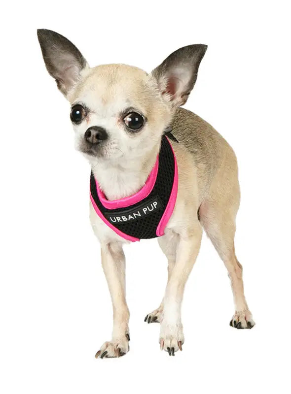 UrbanPup Active Mesh Neon Harness — Roze - Hondentuigje