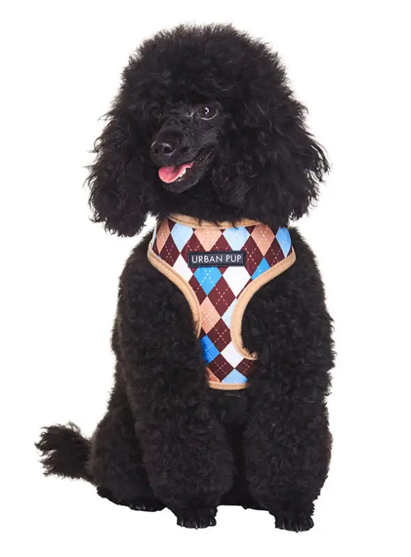 UrbanPup Argyle Harness — Bruin / Blauw - Hondentuigje