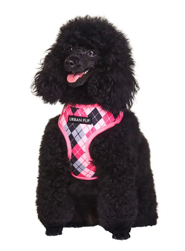 UrbanPup Argyle Harness — Roze - Hondentuigje