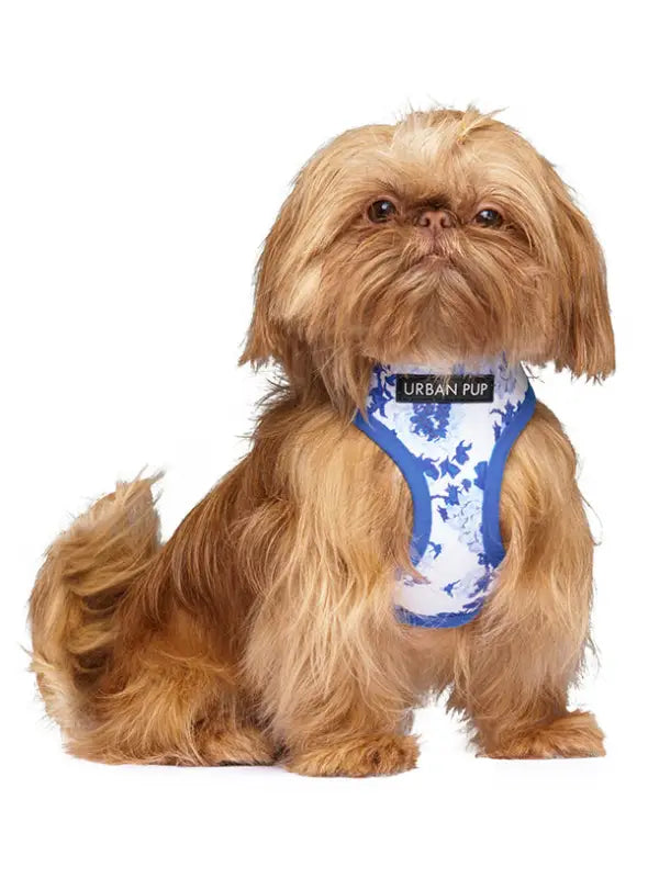 UrbanPup Blue Floral Bouquet Harness — Blauw / Wit - Hondentuigje