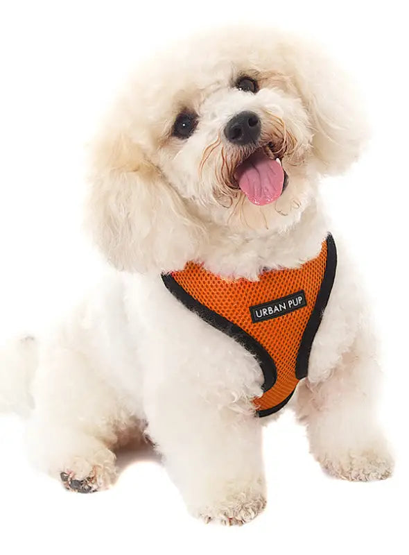 UrbanPup Burnt Orange Harness — Oranje - Hondentuigje