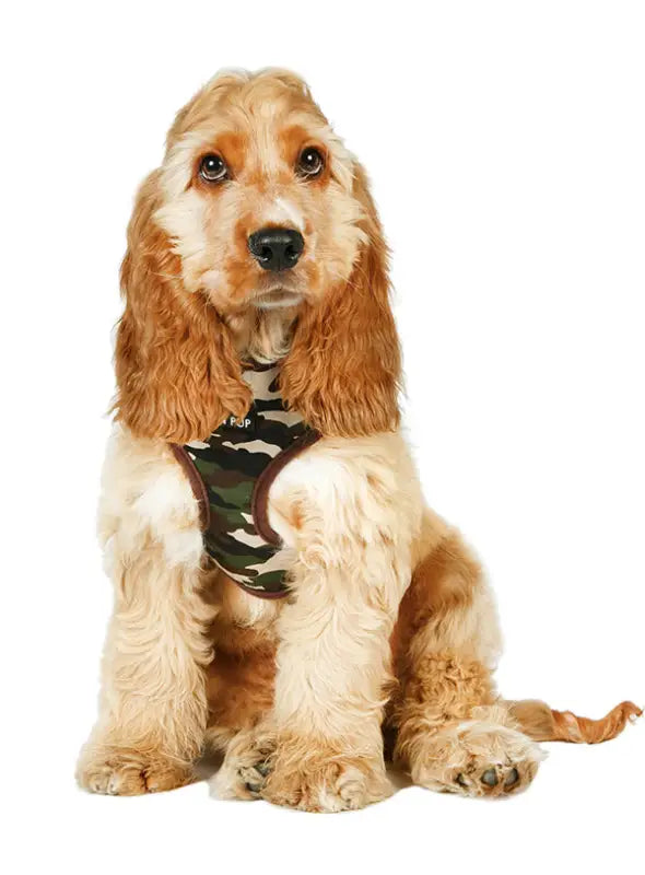 UrbanPup Camouflage Harness — Groen - Hondentuigje