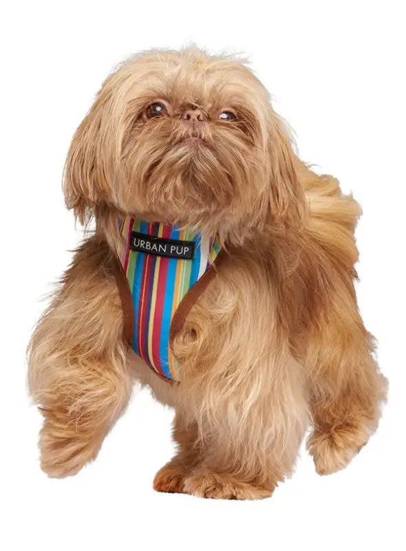 UrbanPup Henley Striped Harness — Bruin - Hondentuigje