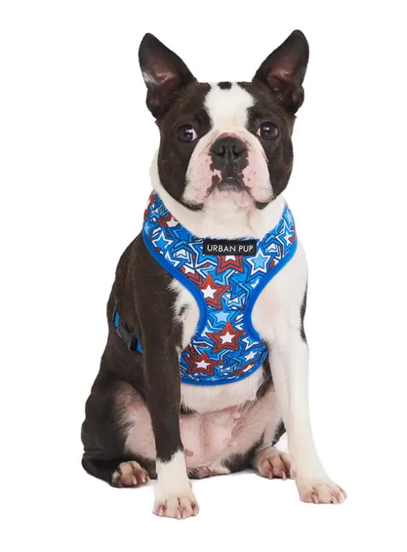 UrbanPup Hero Star Harness — Blauw - Hondentuigje