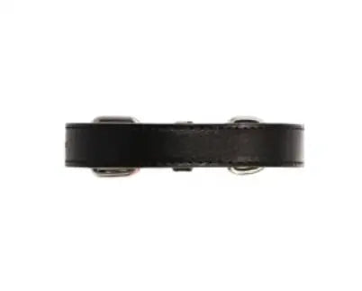 UrbanPup Hondenhalsband Black 35-46 cm