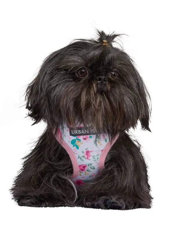 UrbanPup Pink Floral Cascade Harness — Roze / Wit - Hondentuigje