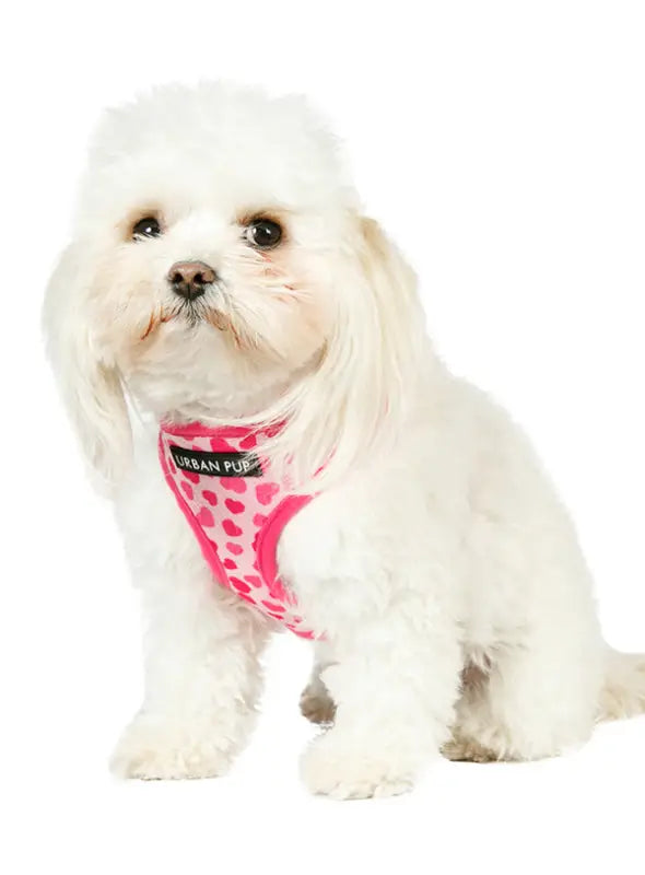 UrbanPup Pink Hearts Harness — Roze - Hondentuigje