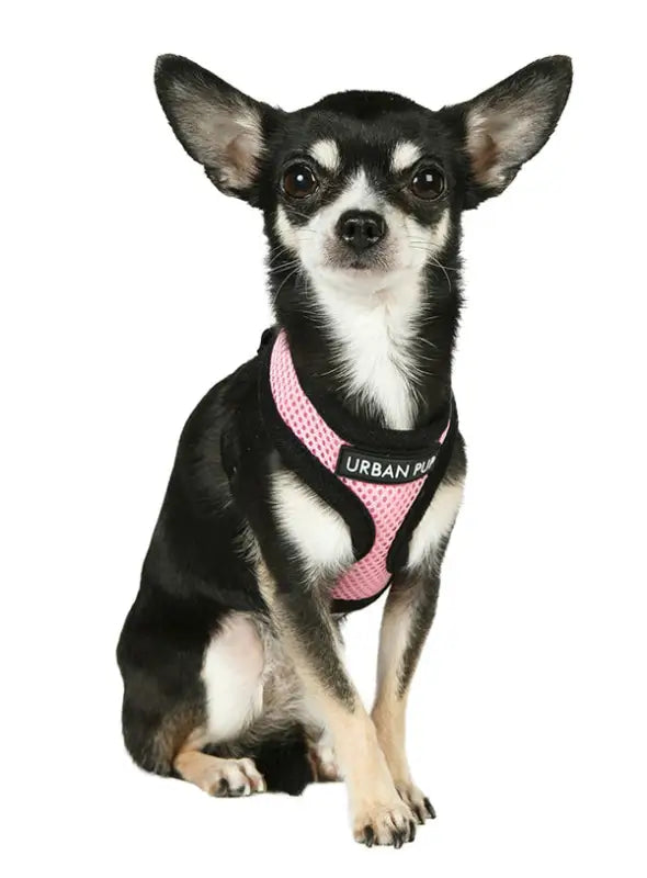 UrbanPup Pink Soft Harness — Roze - Hondentuigje