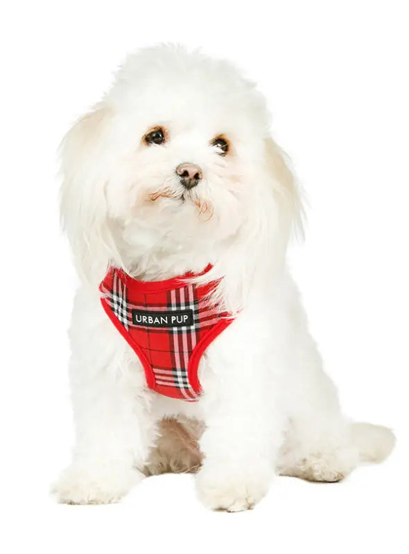 UrbanPup Red Checked Tartan Harness — Rood - Hondentuigje