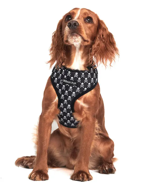 UrbanPup Skulls and Crossbones Harness — Zwart - Hondentuigje