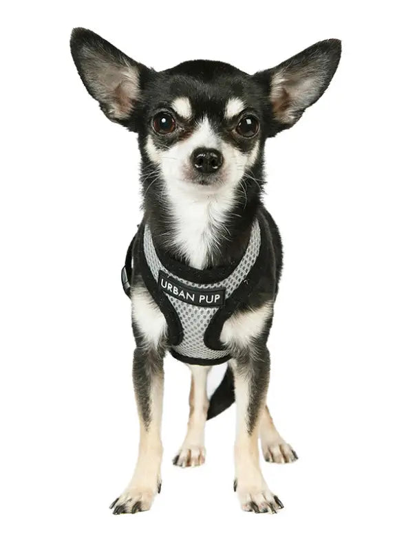 UrbanPup Steel Grey Soft Harness — Grijs - Hondentuigje