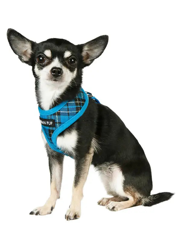 UrbanPup Tartan Harness — Blauw - Hondentuigje
