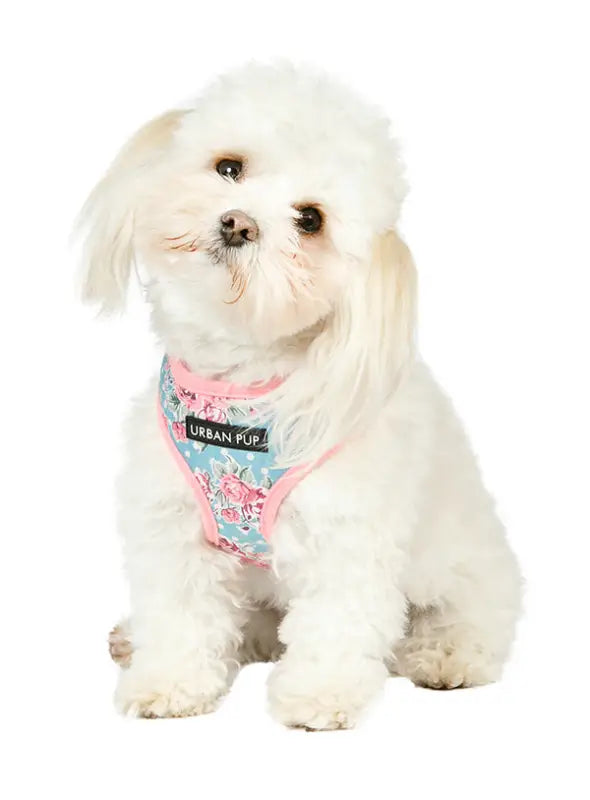 UrbanPup Vintage Rose Floral Harness — Roze / Blauw